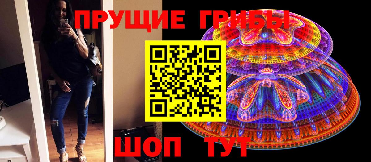 Псилоцибиновые грибы GOLDEN TEACHER Алексин